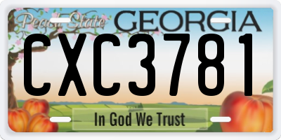 GA license plate CXC3781