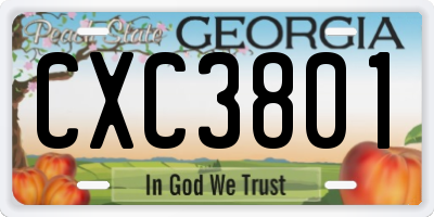 GA license plate CXC3801