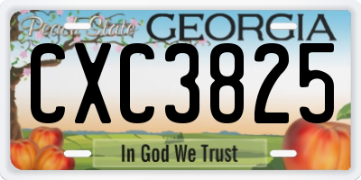 GA license plate CXC3825