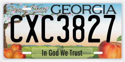 GA license plate CXC3827