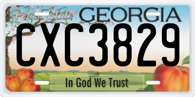 GA license plate CXC3829