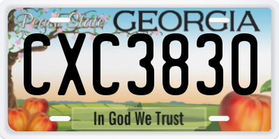GA license plate CXC3830