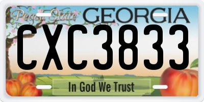GA license plate CXC3833
