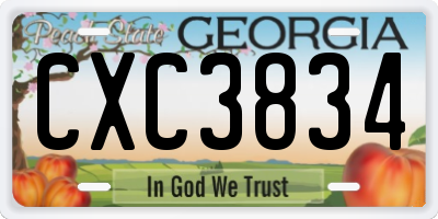 GA license plate CXC3834