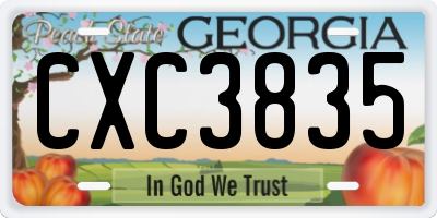 GA license plate CXC3835