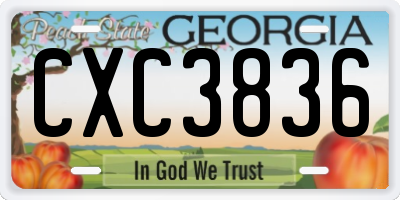 GA license plate CXC3836