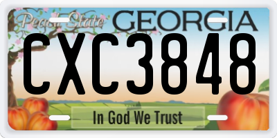 GA license plate CXC3848