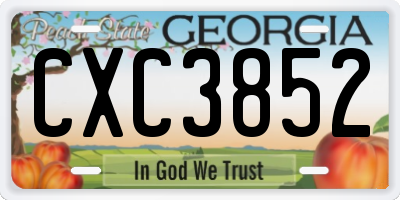 GA license plate CXC3852