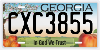 GA license plate CXC3855