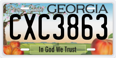 GA license plate CXC3863