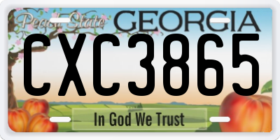 GA license plate CXC3865