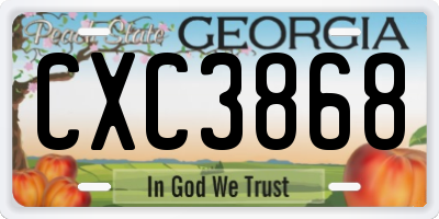 GA license plate CXC3868