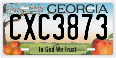 GA license plate CXC3873