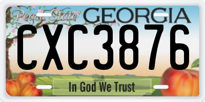 GA license plate CXC3876