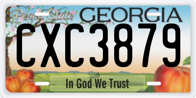 GA license plate CXC3879