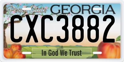GA license plate CXC3882