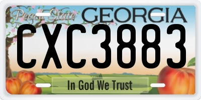 GA license plate CXC3883