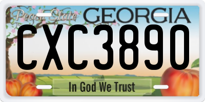 GA license plate CXC3890