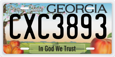 GA license plate CXC3893