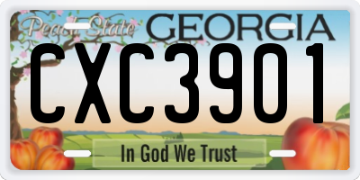 GA license plate CXC3901
