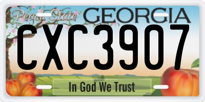 GA license plate CXC3907