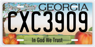 GA license plate CXC3909
