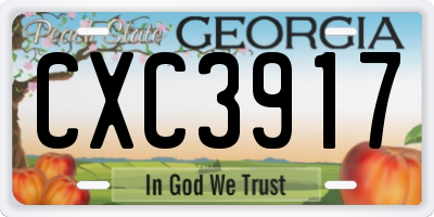 GA license plate CXC3917