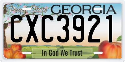 GA license plate CXC3921