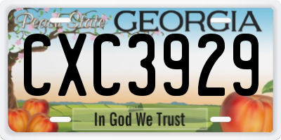 GA license plate CXC3929