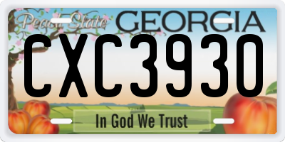 GA license plate CXC3930