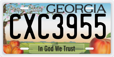 GA license plate CXC3955