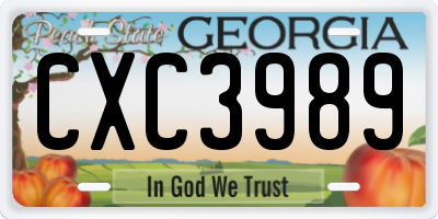 GA license plate CXC3989
