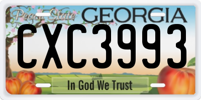 GA license plate CXC3993
