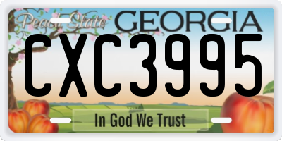 GA license plate CXC3995