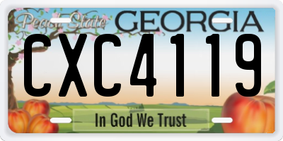 GA license plate CXC4119