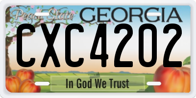 GA license plate CXC4202