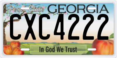 GA license plate CXC4222