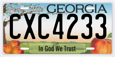 GA license plate CXC4233