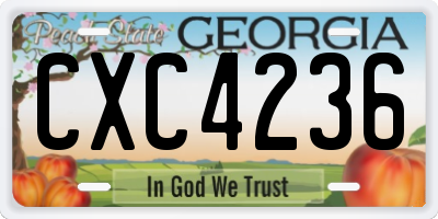GA license plate CXC4236