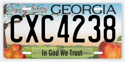 GA license plate CXC4238