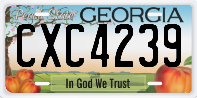 GA license plate CXC4239