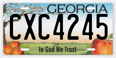 GA license plate CXC4245