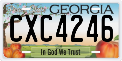 GA license plate CXC4246