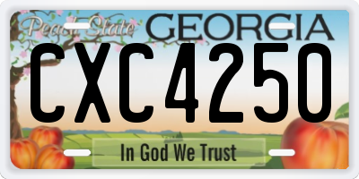 GA license plate CXC4250