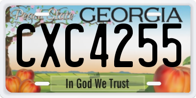 GA license plate CXC4255