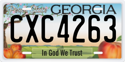 GA license plate CXC4263