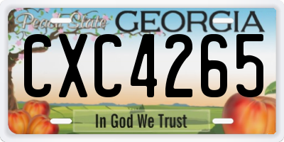 GA license plate CXC4265