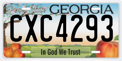 GA license plate CXC4293