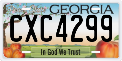 GA license plate CXC4299
