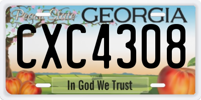 GA license plate CXC4308